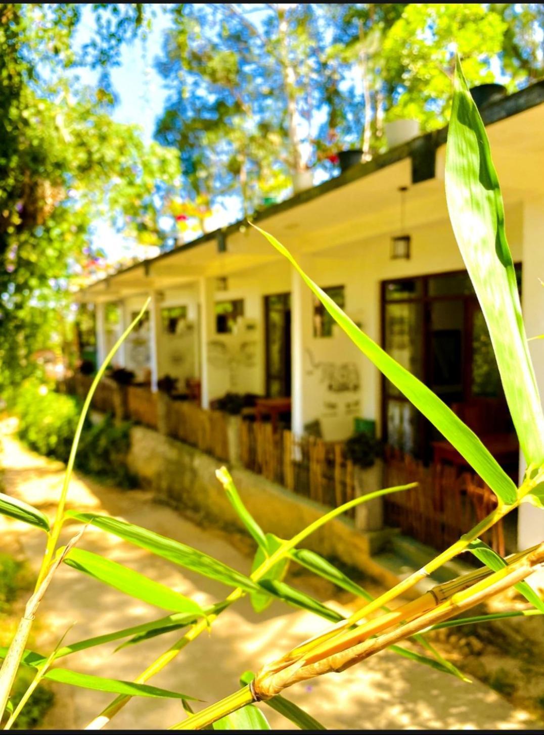 Blissful Haven Hotell Ella Exteriör bild