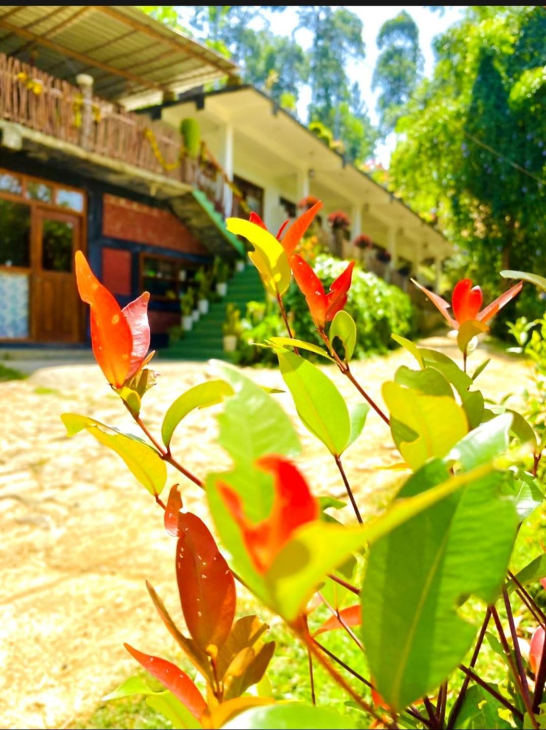 Blissful Haven Hotell Ella Exteriör bild