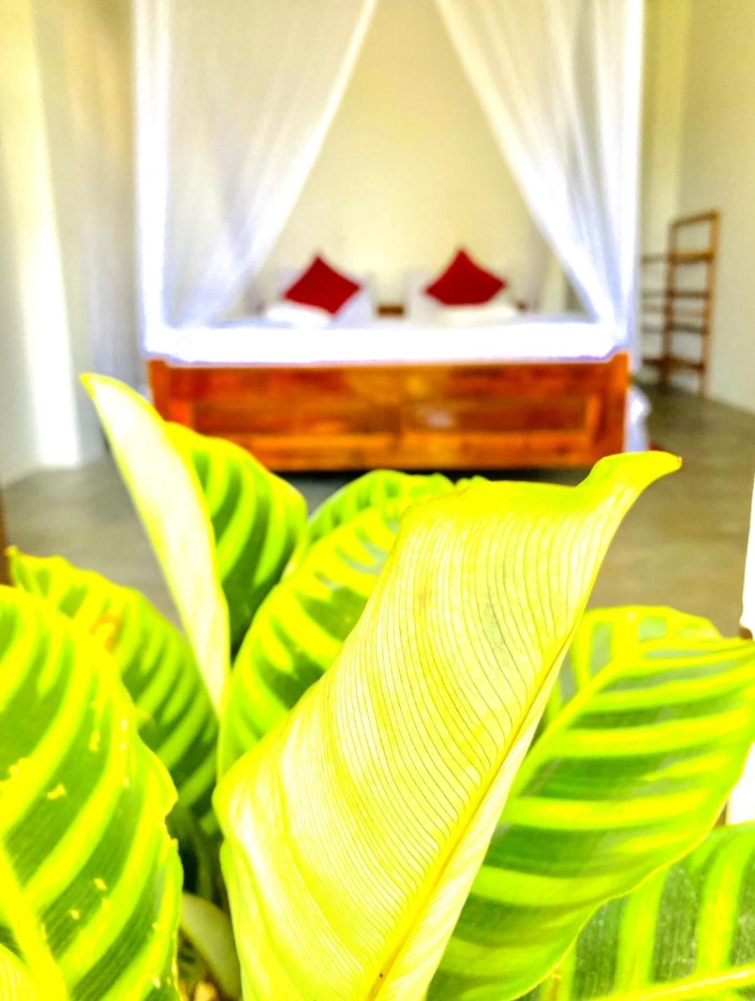 Blissful Haven Hotell Ella Exteriör bild